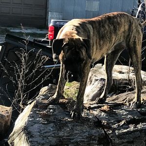 Meet your Posher, Anita